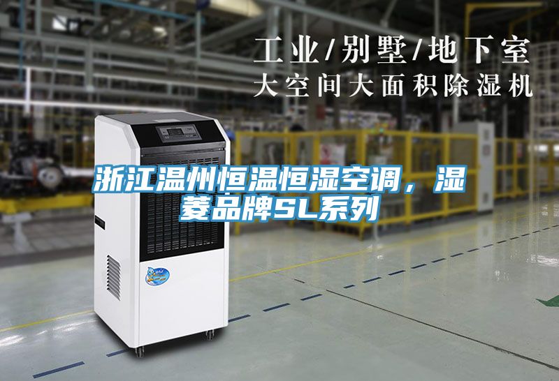 浙江溫州恒溫恒濕空調(diào),濕菱品牌SL系列