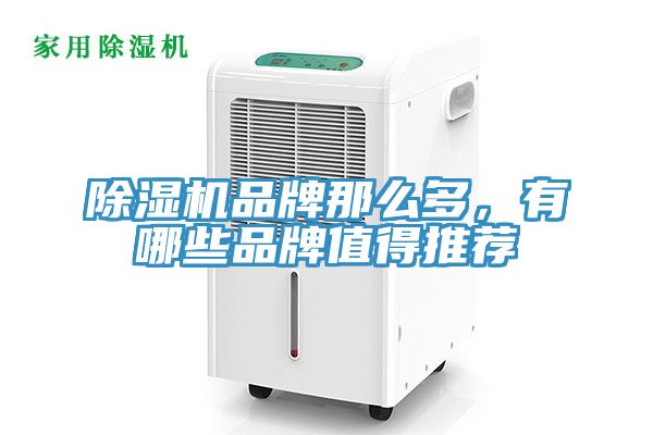 除濕機(jī)品牌那么多,有哪些品牌值得推薦