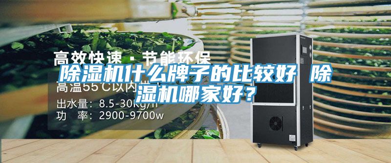 除濕機什么牌子的比較好 除濕機哪家好?