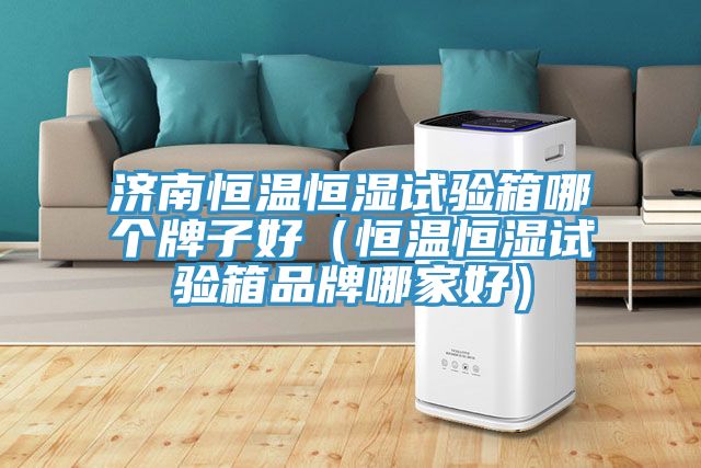 濟南恒溫恒濕試驗箱哪個牌子好(恒溫恒濕試驗箱品牌哪家好)