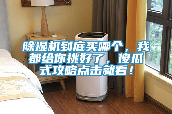 除濕機到底買哪個，我都給你挑好了，傻瓜式攻略點擊就看！