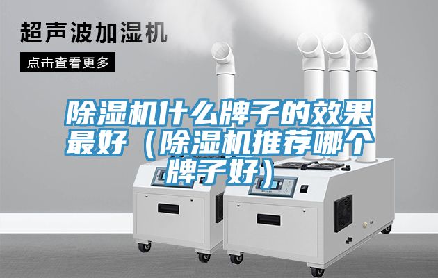 除濕機什么牌子的效果最好(除濕機推薦哪個牌子好)