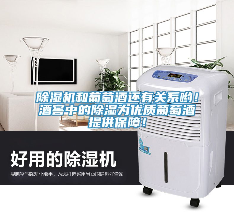 除濕機和葡萄酒還有關系喲！酒窖中的除濕為優質葡萄酒提供保障！