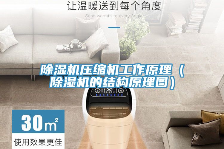 除濕機壓縮機工作原理(除濕機的結(jié)構(gòu)原理圖)