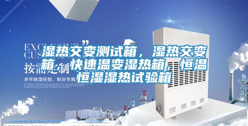 濕熱交變測(cè)試箱,濕熱交變箱,快速溫變濕熱箱,恒溫恒濕濕熱試驗(yàn)箱