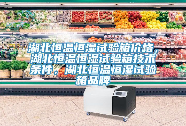 湖北恒溫恒濕試驗(yàn)箱價(jià)格,湖北恒溫恒濕試驗(yàn)箱技術(shù)條件,湖北恒溫恒濕試驗(yàn)箱品牌