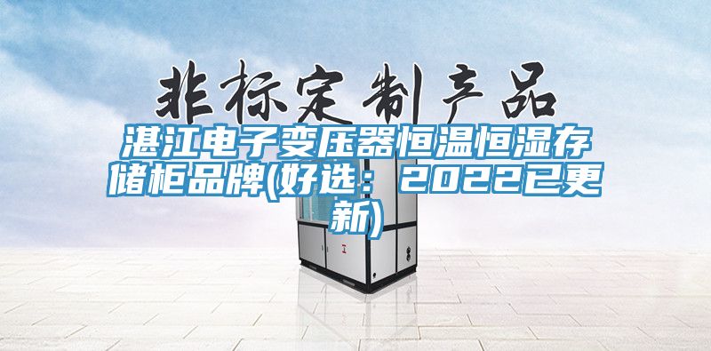 湛江電子變壓器恒溫恒濕存儲(chǔ)柜品牌(好選:2022已更新)
