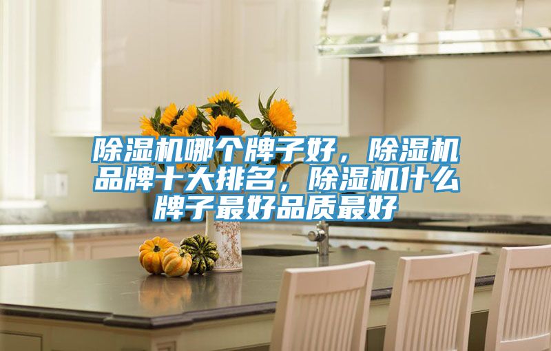 除濕機哪個牌子好，除濕機品牌十大排名，除濕機什么牌子最好品質最好