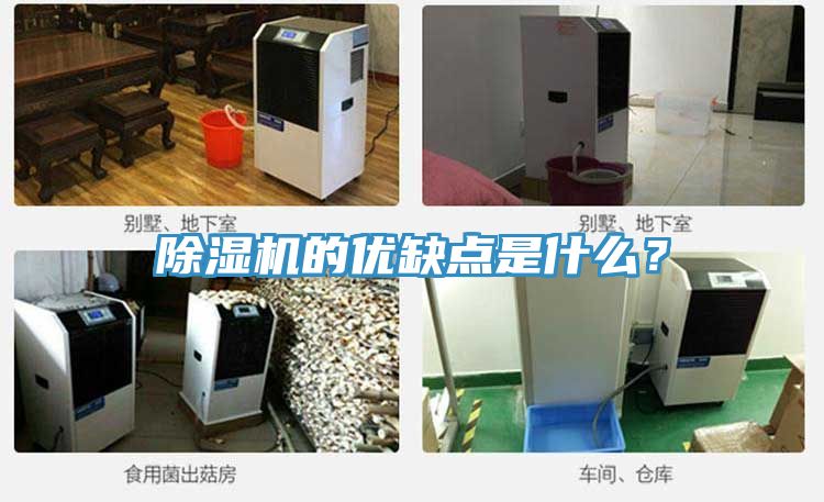 除濕機(jī)的優(yōu)缺點(diǎn)是什么?