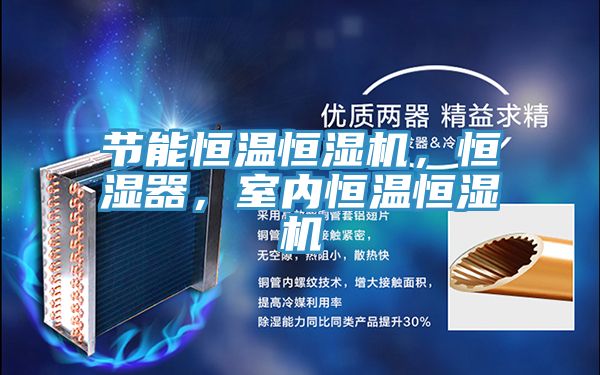 節能恒溫恒濕機,恒濕器,室內恒溫恒濕機
