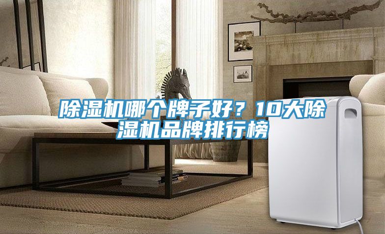 除濕機哪個牌子好？10大除濕機品牌排行榜