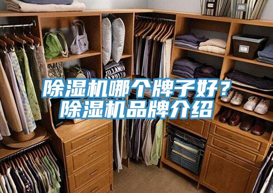 除濕機哪個牌子好？除濕機品牌介紹