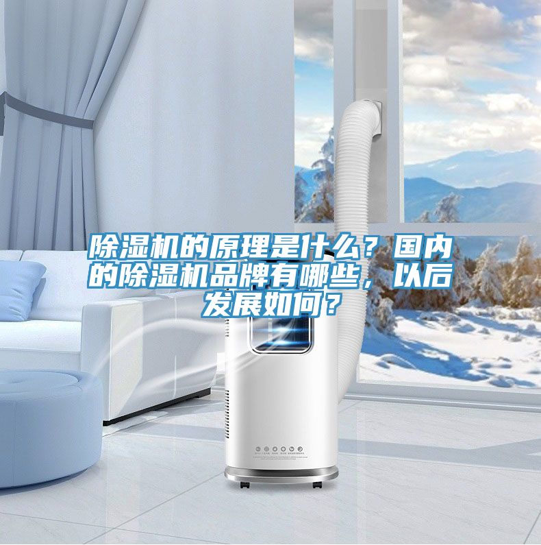 除濕機的原理是什么?國內的除濕機品牌有哪些,以后發展如何?