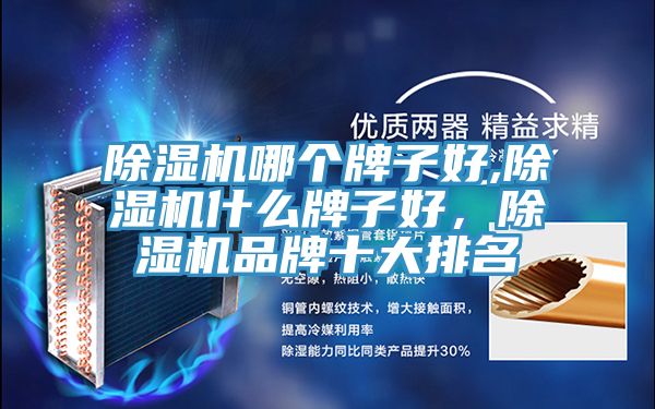 除濕機(jī)哪個(gè)牌子好,除濕機(jī)什么牌子好,除濕機(jī)品牌十大排名