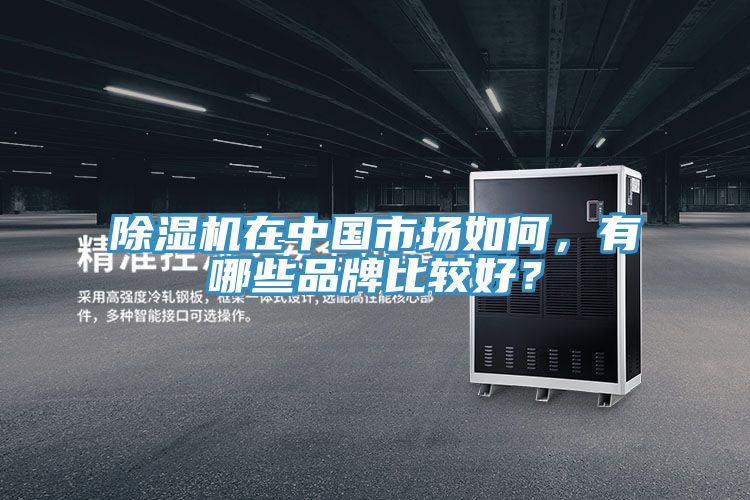 除濕機(jī)在中國(guó)市場(chǎng)如何,有哪些品牌比較好?