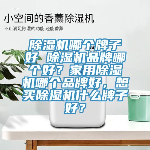 除濕機哪個牌子好 除濕機品牌哪個好？家用除濕機哪個品牌好，想買除濕機什么牌子好？