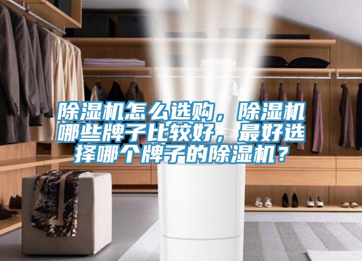 除濕機(jī)怎么選購(gòu),除濕機(jī)哪些牌子比較好,最好選擇哪個(gè)牌子的除濕機(jī)?