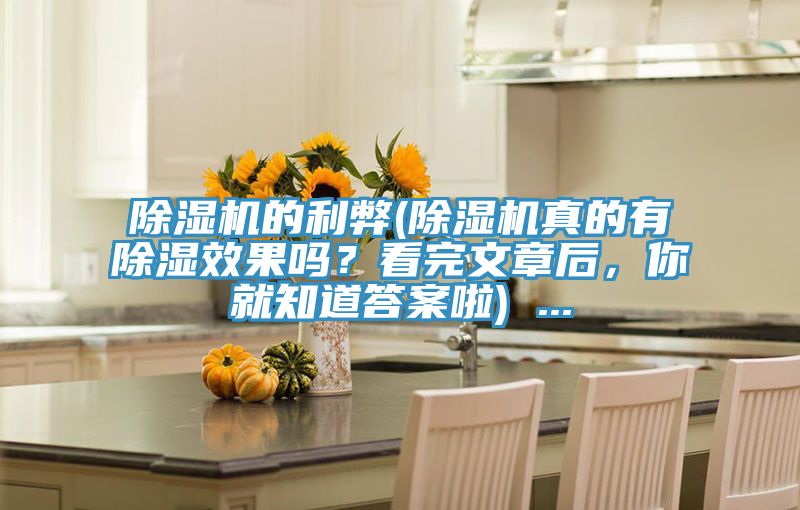 除濕機的利弊(除濕機真的有除濕效果嗎？看完文章后，你就知道答案啦) ...