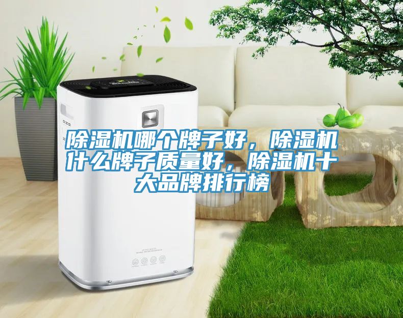 除濕機哪個牌子好，除濕機什么牌子質量好，除濕機十大品牌排行榜