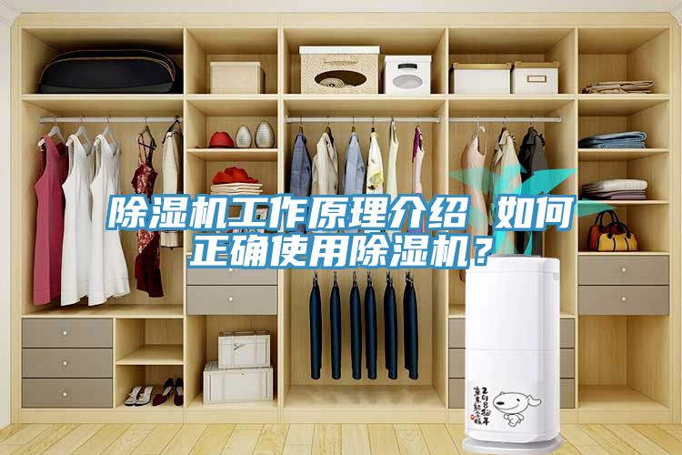 除濕機(jī)工作原理介紹 如何正確使用除濕機(jī)?