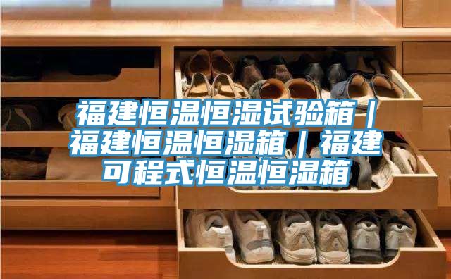 福建恒溫恒濕試驗箱|福建恒溫恒濕箱|福建可程式恒溫恒濕箱