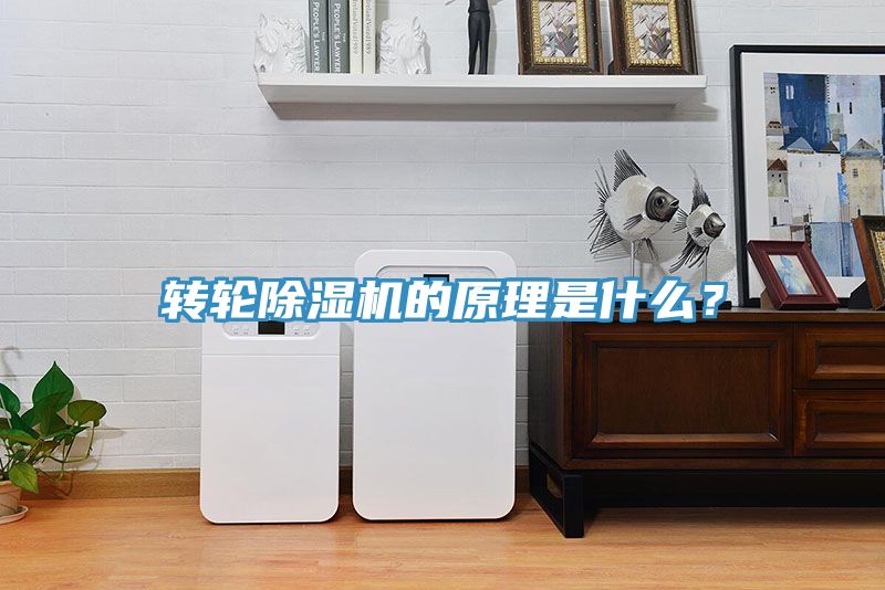 轉(zhuǎn)輪除濕機的原理是什么?